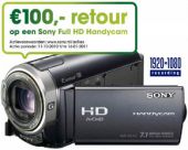Sony HDRCX305EB