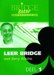 Alpha Bridge Leer Bridge Met Berry Westra