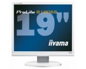 Iiyama ProLite B1906S-1