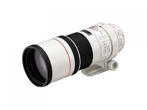 Canon EF 300mm f/4L IS USM