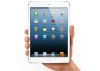 Apple komt toch met iPad mini
